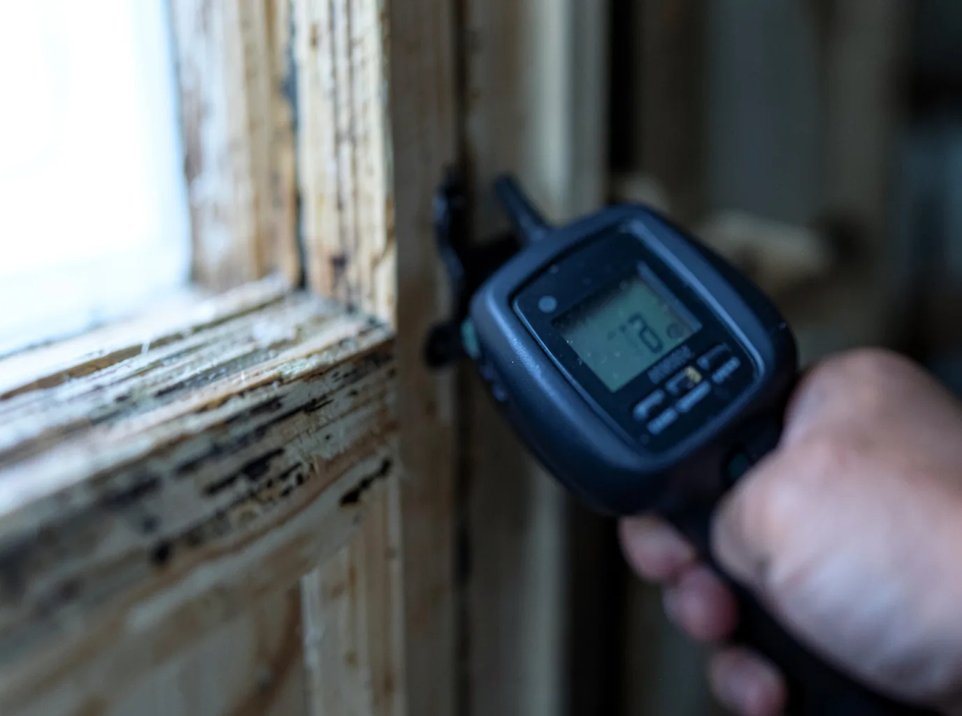 Moisture Inspection And Documentation in Guy, AR